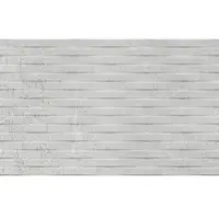 Vitra Ice and Smoke Dekor ice grey 25x40 cm matt K944943
