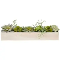 Creativ Green künstliche Pflanze Sukkulentenarrangement im Holzkasten, 10 cm, grün