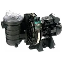 Pentair Sta-Rite Schwimmbadpumpe P-STR-153E3 1,1 kW 400 V