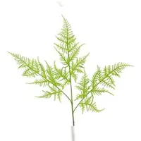 Décoris Künstlicher Asparagus Zweig mit Stiel 85cm Kunstzweig Zierspargel Kunstblumen Spargelfarn Dekozweige Hochzeitsdeko Frühlingsdeko Osterdeko Grün
