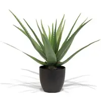 Fleur Ami Aloe Vera Kunstpflanze, Höhe 65 cm