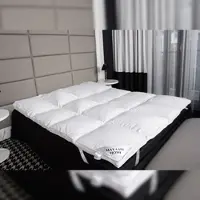 Mayaadi-Home HS73 Matratzenauflage Topper Unterbett 70 % Daunen 30 % Federn 5300g 180x200 cm