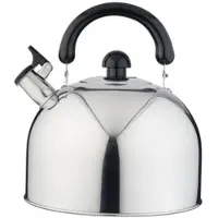 Eva Wasserkocher mit Pfeife Edelstahl Induktion 5,7l