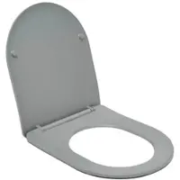 SAT Infinitio Softclose WC-Sitz grau matt SATINFPLGRM