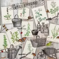 Home Fashion , Green House, Lunch-Servietten aufgefaltetes Maß 33 cm x 33 cm, im Viertelfalz, 20 Stück pro Pack, 12 Pack pro Karton