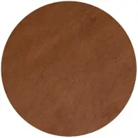 Carpetsale24 Teppich Wohnzimmer Einfarbig Braun 160 cm Rund - Waschbar Rutschfest Kurzflor Extra Weich für Wohnzimmer Schlafzimmer Jugendzimmer