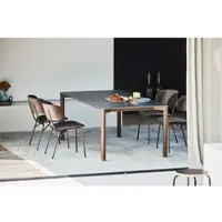 Jan Kurtz Tisch Radius