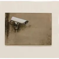 Jan Kurtz Bild - camera 50 x 70 x 4 cm