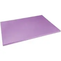 Hygiplas Schneidebrett mit niedriger Dichte, violett, 600 x 450 x 20 mm