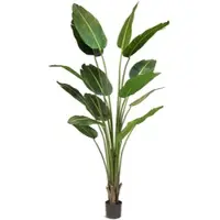 Fleur Ami Strelitzie (Baumstrelitzie) Kunstpflanze 200 cm