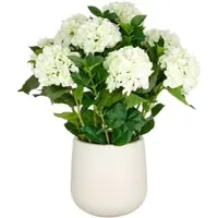 Creativ Green künstliche Pflanze Hortensien Arrangement im cremefarbenen Kunststofftopf, cremegrün, 70cm, Real Touch