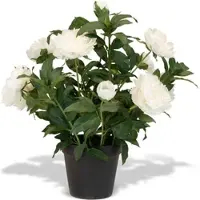 Fleur Ami Pfingstrosen - Paeonia Kunstpflanze weiß
