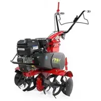 Eurosystems Motorhacke Z8 - B&S Reihe 950 OHV Benzin - Gänge 2+1