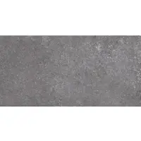 Fineza Abe Bodenfliese dunkelgrau 30x60 cm matt ABE36DGRR