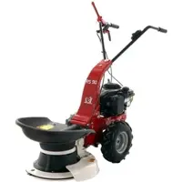 Eurosystems RS90 Mehrzweckgerät Scheibenmäher B&S 575EX