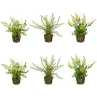 Creativ Green künstliche Pflanze Farnpflanzen, ca 22cm, 6er Set