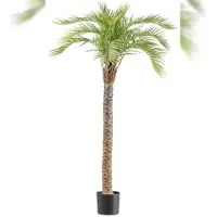 Creativ Green künstliche Pflanze Macauba-Palme, ca 175cm