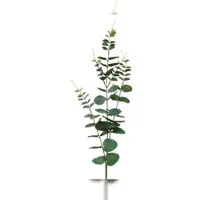 Décoris Künstlicher Eukalyptuszweig 78cm Kunstzweig Eukalyptus Zweig Kunstblumen Dekozweige Hochzeitsdeko Frühlingsdeko Osterdeko Grün