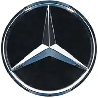 Mercedes-Benz C-Klasse Distronic Grundplatte Stern A2058806406