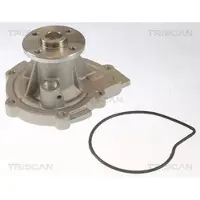 TRISCAN Wasserpumpe 8600 42022