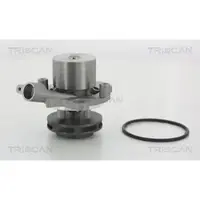 TRISCAN Wasserpumpe 8600 29065