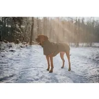 Hunter Hundemantel Nordby 55 oliv