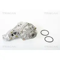 TRISCAN Wasserpumpe [Hersteller-Nr. 860029022] für Audi, VW