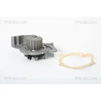 TRISCAN Wasserpumpe 8600 10009
