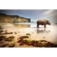 Papermoon Fototapete "Strand Rino", bunt, B:4,5m L:2,8m, Vlies, Tapeten, Fototapete