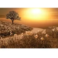 Papermoon Fototapete "Magische Landschaft", bunt, B:4,5m L:2,8m, Vlies, Tapeten, Fototapete