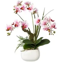 Creativ Green künstliche Pflanze Phalaenopsis im Keramiktopf, 46cm, lila, Real Touch
