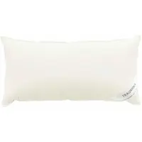 Traumina Plume Bio 3 Kammern-Daunen Kissen - 40x80cm