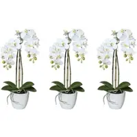 Creativ Green künstliche Pflanze Miniphalaenopsis, ca 43cm, "Real Touch", 3er Set