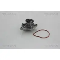 TRISCAN Wasserpumpe [Hersteller-Nr. 860010032] für BMW, Mini, Ds, Citroën, Opel, Vauxhall, Peugeot