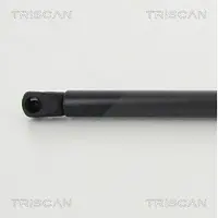 TRISCAN Gasfeder, Koffer-/Laderaum 8710 292041