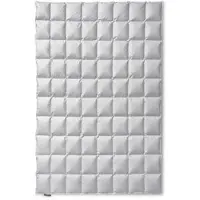 Sanders Kauffmann Kauffmann Eiderdaunendecke Exclusive medium - 200x200cm