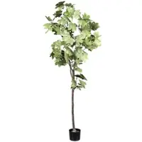 Creativ Green künstliche Pflanze Ahornbaum, ca 175cm