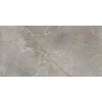 Fineza Fliese Mask Silver 30x60 cm matt MASK36SI