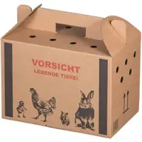 VEPATIM 10x Transportkarton für Kleintiere 320x200x230mm mit Tragegriff Luftlöchern und Automatikboden - Größe S