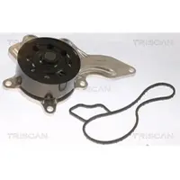 TRISCAN Wasserpumpe 8600 13053