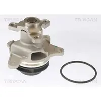 TRISCAN Wasserpumpe [Hersteller-Nr. 860010086] für Nissan, Opel, Fiat, Mercedes-Benz, Renault, Vauxhall