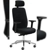 Mayer Sitzmöbel , Drehstuhl 2229, Schwarz, 2229_AV4D_KS_SYM++_POL_81007
