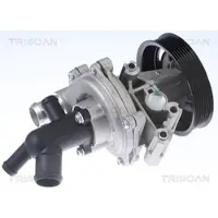 TRISCAN Wasserpumpe 8600 16071