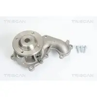 TRISCAN Wasserpumpe 8600 16010