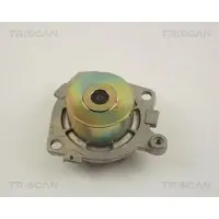 TRISCAN Wasserpumpe [Hersteller-Nr. 860015120] für Fiat, Lancia