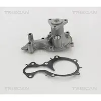 TRISCAN Wasserpumpe 8600 16025