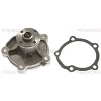 TRISCAN Wasserpumpe 8600 69008
