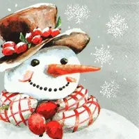Home Fashion , Frosty, Lunch-Servietten aufgefaltetes Maß 33 cm x 33 cm, im Viertelfalz, 20 Stück pro Pack, 12 Pack pro Karton