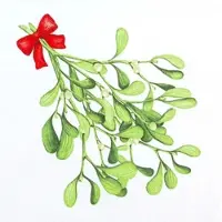 Home Fashion , Mistletoe Twigs pure, Lunch-Servietten aufgefaltetes Maß 33 cm x 33 cm, im Viertelfalz, 20 Stück pro Pack, 12 Pack pro Karton