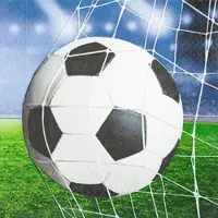 Home Fashion , Soccer, Lunch-Servietten aufgefaltetes Maß 33 cm x 33 cm, im Viertelfalz, 20 Stück pro Pack, 12 Pack pro Karton